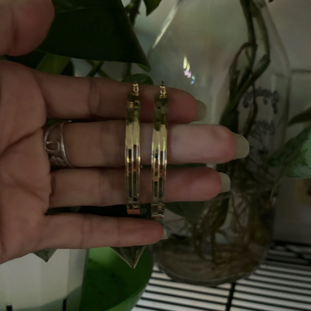 Elegant Gold Hoop Earrings